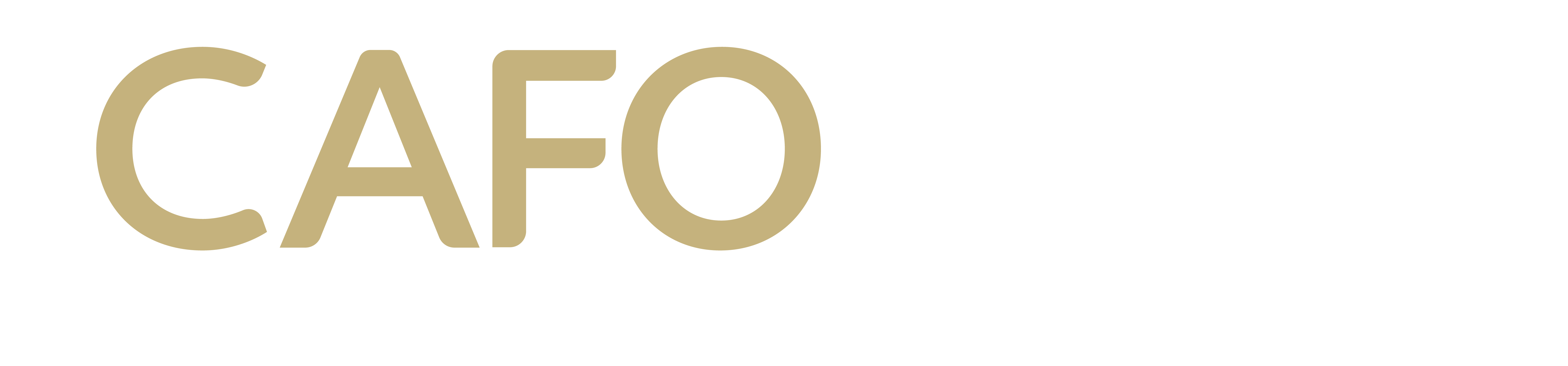 CAFO2024 Summit | Sept. 18-20 Nashville, TN - Christian Alliance for Orphans